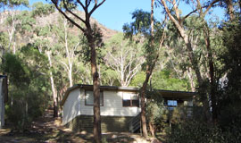 nestled amongst the trees