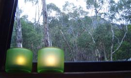 tranquil outlook
