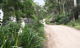 view along picturesque High Road