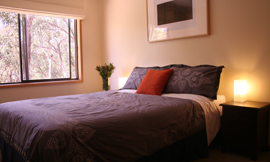 queen size bed room